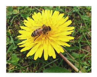 Bee on a Dandelion Puzzle - Honeybee Puzzle - Flower Puzzle - Multiple Size Puzzle