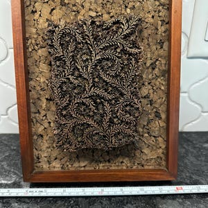 May include: A framed woodblock printing stamp with a detailed floral design, mounted on a cork background.