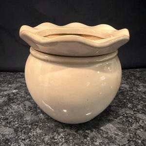 May include: A cream-colored ceramic planter with a rounded, bulbous body and a wide, scalloped, ruffled rim. The surface of the pot has a smooth, glossy finish that reflects light, creating a clean and simple appearance for indoor plant display.