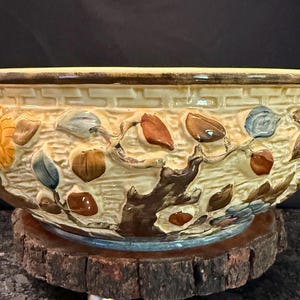 Vintage "Indian Tree" pattern jardiniere planter pot made by H.J. Wood Ltd. in Staffordshire England mid-century  - perfect for succulents
