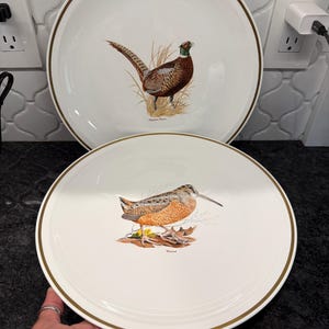 Vintage pair of 12” Centura Corning game bird serving platters, charger plates, Ringneck pheasant &  woodcock -  gold band - look unused