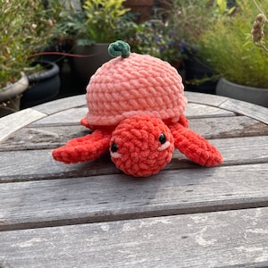 Peach Turtle