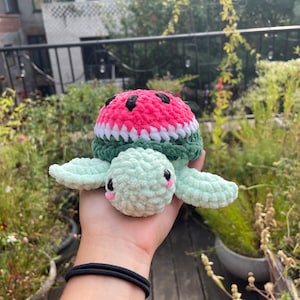 Watermelon Turtle