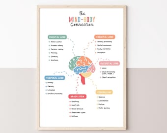 Op de afbeelding: Een ingelijste print getiteld "The Mind-Body Connection" toont een kleurrijk diagram van de menselijke hersenen. Het diagram belicht verschillende hersengebieden en hun functies, waaronder de frontale, pariëtale, temporale en occipitale kwabben, evenals de hersenstam en de kleine hersenen.