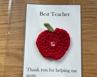 Best Teacher  Pocket Hug Apple