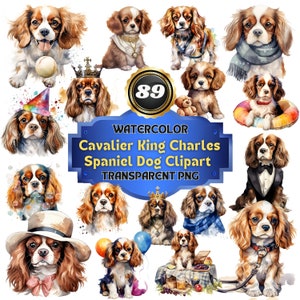 Könnte beinhalten: Ein Set mit 89 Aquarell-Illustrationen von Cavalier King Charles Spaniel Hunden in verschiedenen Posen und Umgebungen. Die Hunde sind in verschiedenen Farben dargestellt, darunter Braun, Weiß, Schwarz und Rot. Die Illustrationen sind perfekt für den Einsatz in digitalen und gedruckten Projekten.