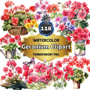 Könnte beinhalten: Aquarell-Clipart-Set mit 118 Geranien in verschiedenen Rosatönen, Rot- und Lilatönen. Die Blumen sind in Sträußen, Töpfen und Körben angeordnet. Der Text "WATERCOLOR GERANIUM CLIPART TRANSPARENT PNG" wird auf einem goldenen Banner angezeigt.