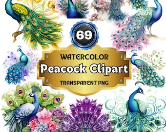 Ensemble PNG de 69 paon clipart aquarelle, teintes majestueuses illustrations d'oiseaux vives et exquises pour des projets artistiques et inspirés de la nature