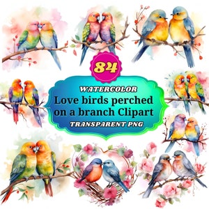84 Aquarelle Lovebirds Clipart, Valentines Lovebirds perchés sur une branche PNG Bundle pour planificateur numérique, Junk Journal, Wall Art Decor