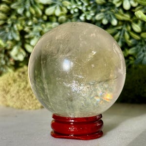 Op de afbeelding: Een heldere, bolvormige kristallen bol met interne insluitsels, rustend op een glanzende, rode houten standaard. Het kristal heeft een licht geelgroene tint en reflecteert licht, waardoor een regenboogeffect ontstaat. De achtergrond toont groen gebladerte en mos.