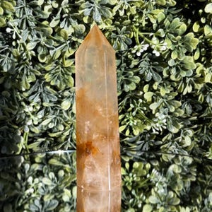 May include: A clear, golden-colored crystal tower with a pointed top. The crystal has internal inclusions of brown and orange hues. The tower is displayed against a backdrop of green foliage and a reflective surface.