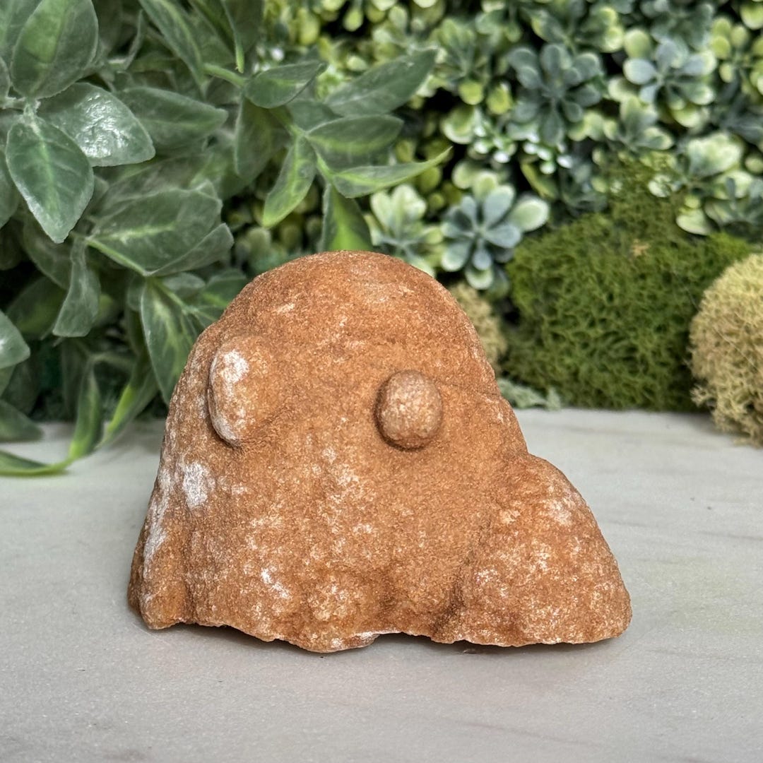 Stromatolite Fossil Stone | Ancient Earth Specimen | Natural ...