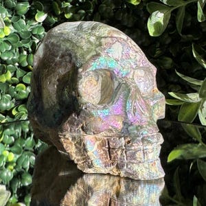 Op de afbeelding: Een gebeeldhouwde schedelsculptuur met iriserende, veelkleurige highlights. De schedel is lichtgrijs van kleur met groene, paarse en gouden gebieden. De sculptuur staat op een reflecterend oppervlak, met groene bladeren op de achtergrond.