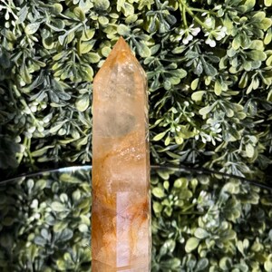 May include: A tall, polished quartz crystal point with a golden-orange hue and natural inclusions. The crystal is rectangular with a pointed top. The background is a mix of green foliage and a reflective surface.