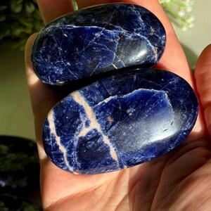 May include: Two polished sodalite stones, oval-shaped, are held in a hand. The stones are a deep blue with white and light beige veining. The smooth, rounded stones are displayed in natural light.