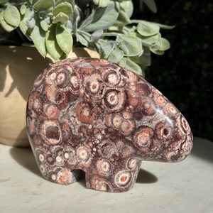 May include: A polished stone carving in the shape of a bear, featuring a complex pattern of dark brown and cream-colored circular orbs and intricate webbing throughout the surface, with a smooth, glossy finish and rounded edges.