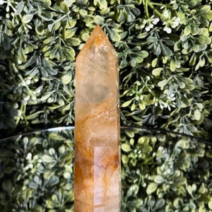 May include: A tall, polished crystal point with a golden-orange hue. The crystal has a pointed top and a rectangular base. The surface has natural variations in color and texture. The background is a blurred arrangement of green foliage.