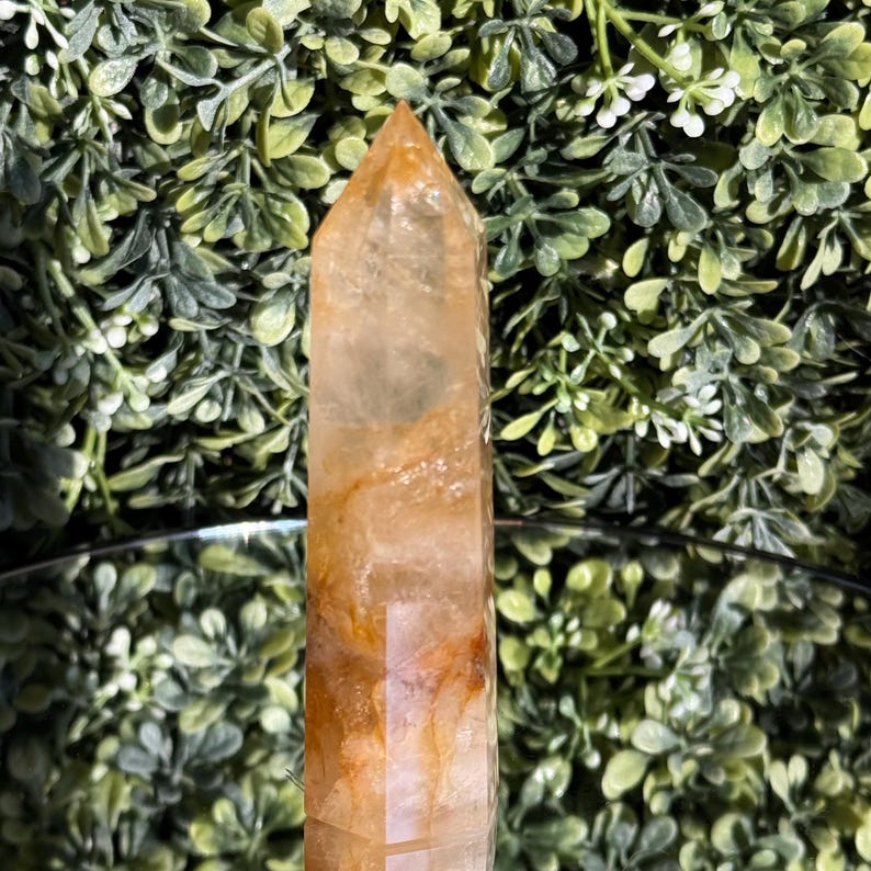 May include: A tall, polished crystal point with a golden-orange hue. The crystal has a pointed top and a rectangular base. The surface has natural variations in color and texture. The background is a blurred arrangement of green foliage.