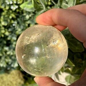 Op de afbeelding: Een heldere, bolvormige kristallen bol met een lichtgele tint. Het gepolijste oppervlak reflecteert licht, waardoor een subtiel regenboogeffect ontstaat. De kristal wordt in een hand gehouden tegen een achtergrond van groen gebladerte.