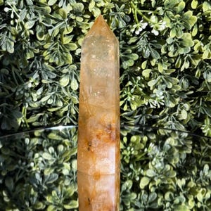 May include: A tall, golden-yellow crystal point with a polished surface. The crystal has a tapered shape, with a pointed top and a rectangular base. The crystal is set against a backdrop of green foliage.