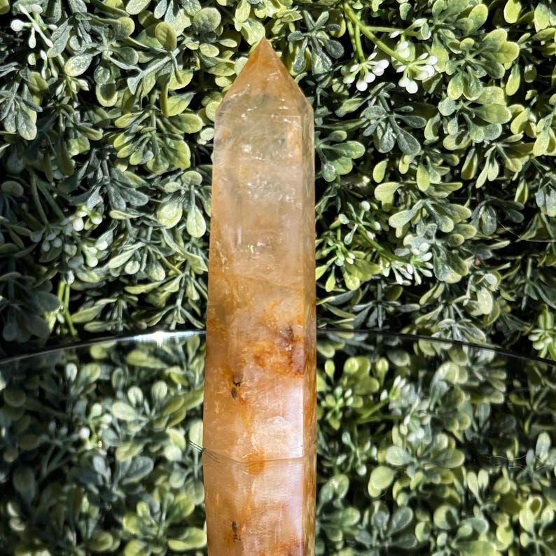 May include: A tall, golden-yellow crystal point with a polished surface. The crystal has a tapered shape, with a pointed top and a rectangular base. The crystal is set against a backdrop of green foliage.