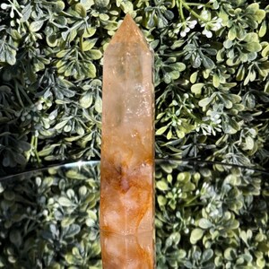 May include: A tall, polished quartz crystal point with a warm, amber hue and reddish-brown inclusions. The crystal is rectangular with a pointed top. The background is a blurred arrangement of green foliage.