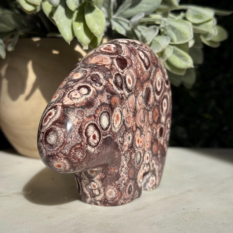 Bird’s Eye Rhyolite Bear Carving – Grounding & Earth Connection image 9