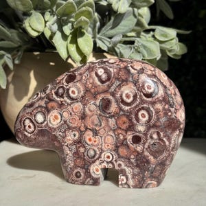 May include: A carved stone bear figurine in shades of brown, cream, and reddish-brown. The bear has a detailed pattern of circular and oval shapes. The figurine is a decorative item, possibly for a home or office.