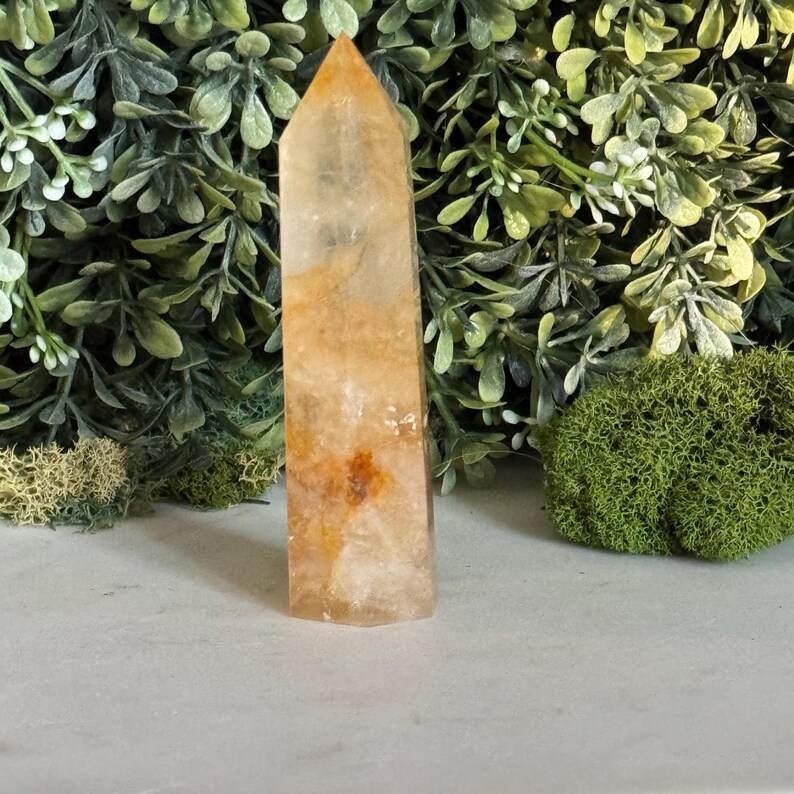 May include: A tall, amber-colored crystal point with a polished surface. The crystal has a natural, irregular pattern with shades of orange and brown. The background features green foliage and moss, creating a natural aesthetic.