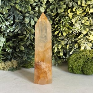 May include: A tall, polished crystal point with a golden-yellow hue. The crystal has a faceted shape and a pointed top. The surface has internal patterns and inclusions. The background features green foliage and moss.