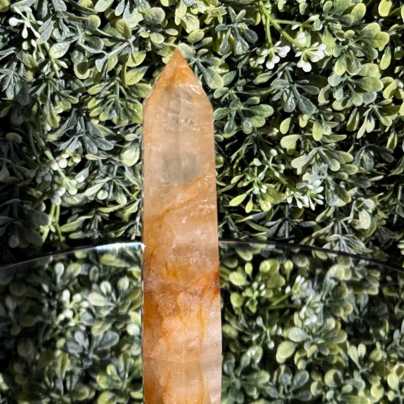 May include: A tall, amber-colored crystal point with natural orange and brown inclusions. The crystal is polished and has a pointed top. The background features green foliage and a reflective surface, highlighting the crystal's clarity and color.