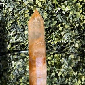 May include: A tall, polished crystal point with a warm, amber hue and natural inclusions. The crystal is a light orange color with darker orange and brown streaks. The crystal is standing upright against a backdrop of green foliage.