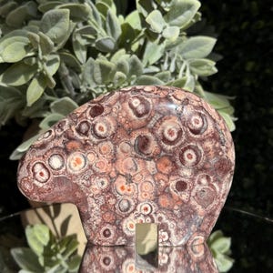 May include: A polished, freeform stone sculpture with a unique pattern of circular and oval shapes in shades of brown, red, and cream. The stone has a smooth, rounded form, and is displayed on a reflective surface. The background features green foliage.