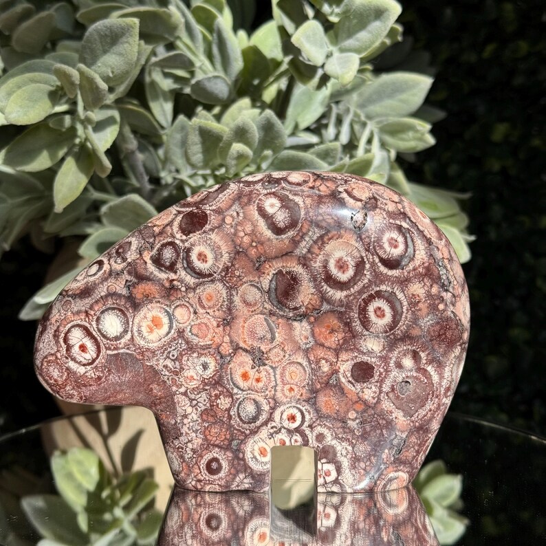 May include: A polished, freeform stone sculpture with a unique pattern of circular and oval shapes in shades of brown, red, and cream. The stone has a smooth, rounded form, and is displayed on a reflective surface. The background features green foliage.