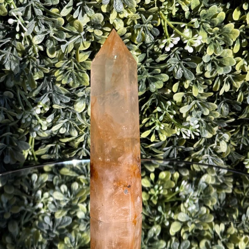 May include: A tall, polished quartz crystal point with a warm, amber hue. The crystal has a smooth, faceted surface and a pointed top. The background features green foliage and a reflective surface, highlighting the crystal's natural beauty.