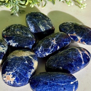 May include: A collection of polished sodalite stones. The stones are oval-shaped, with a deep blue color and white and tan veining. The stones are arranged on a light-colored surface, with green foliage in the background.