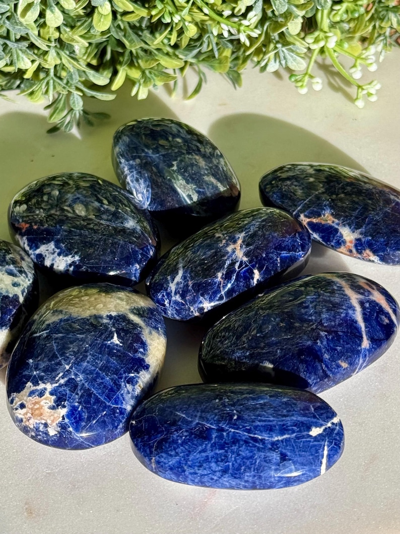 May include: A collection of polished sodalite stones. The stones are oval-shaped, with a deep blue color and white and tan veining. The stones are arranged on a light-colored surface, with green foliage in the background.
