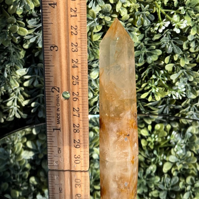 May include: A clear, golden-yellow quartz crystal point, approximately 4 inches tall, with natural inclusions. The crystal is next to a wooden ruler with inch markings. The background is a blurred arrangement of green foliage.