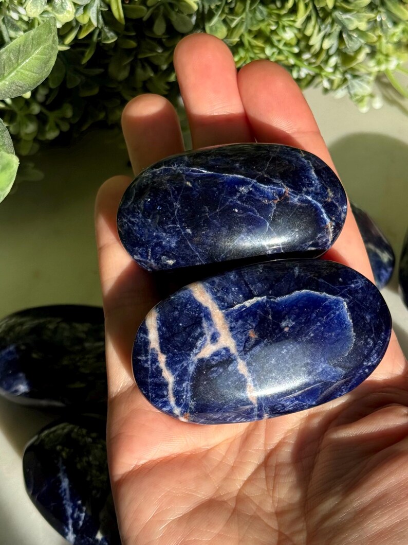 May include: Two polished sodalite stones, oval-shaped, are held in a hand. The stones are a deep blue color with white and light beige veining. The background includes green foliage.