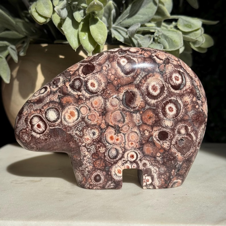 May include: A carved stone bear figurine in shades of brown, cream, and reddish-orange. The bear has a rounded body and a small opening at the base. The stone has a unique pattern of circular and oval shapes.
