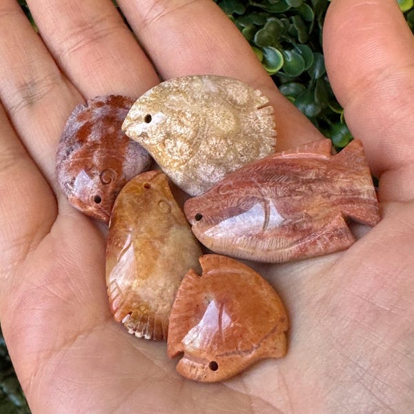 Talla de pez de coral fosilizado: decoración fósil oceánica de piedra pulida