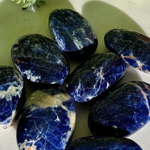 May include: A collection of polished sodalite stones. The stones are oval-shaped with a deep blue color and white and tan veining. The stones are smooth and have a glossy finish. The background is a light color with green foliage.