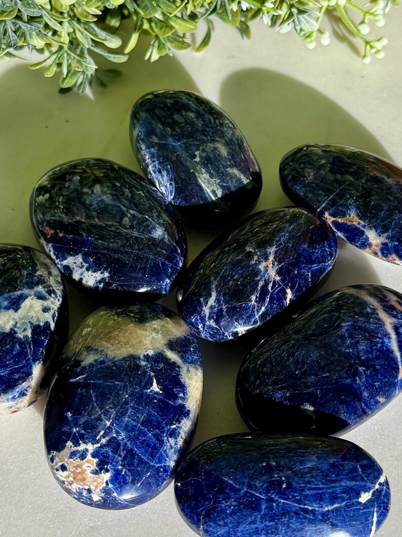 May include: A collection of polished sodalite stones. The stones are oval-shaped with a deep blue color and white and tan veining. The stones are smooth and have a glossy finish. The background is a light color with green foliage.