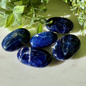 May include: Five polished sodalite stones. The stones are oval-shaped with a deep blue color and white veining. The stones are arranged on a white surface with green foliage in the background. The stones are smooth and have a glossy finish.
