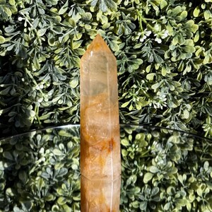 May include: A clear, golden-orange quartz crystal point. The crystal is a tall, rectangular prism with a pointed top. The crystal has internal inclusions and is set against a backdrop of green foliage.