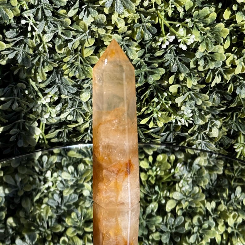 May include: A clear, golden-orange quartz crystal point. The crystal is a tall, rectangular prism with a pointed top. The crystal has internal inclusions and is set against a backdrop of green foliage.