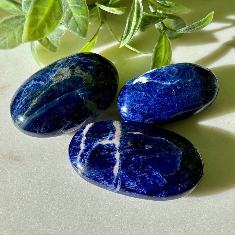 May include: Three polished sodalite stones in shades of deep blue with white and gray veining. The stones are oval-shaped and smooth, with a glossy finish. Green leaves are in the background.