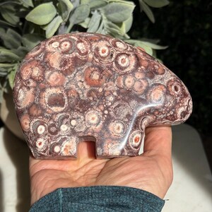 Bird’s Eye Rhyolite Bear Carving – Grounding & Earth Connection image 8