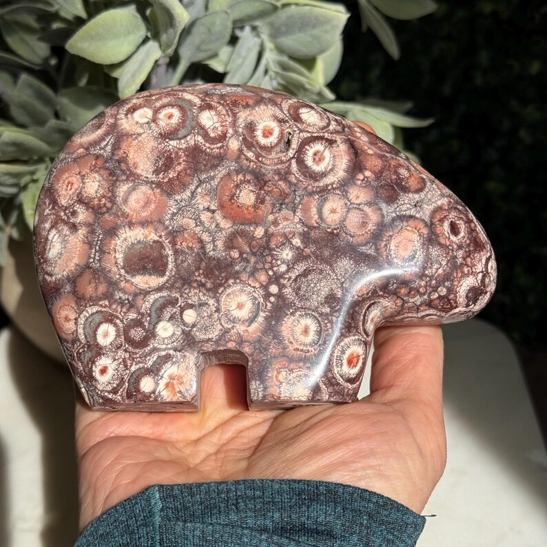 Bird’s Eye Rhyolite Bear Carving – Grounding & Earth Connection image 8