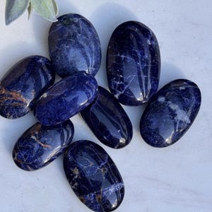 May include: A collection of oval-shaped sodalite stones. The stones are a deep blue color with white and brown veining. They are arranged on a white surface, with a sprig of greenery in the background. The stones are polished and have a smooth, glossy finish.